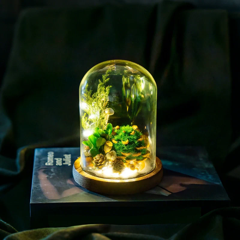 EternaBloom™ Night Light - Image 15