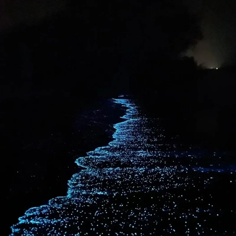 GlowPebbles™ Luminous Stones - Image 10