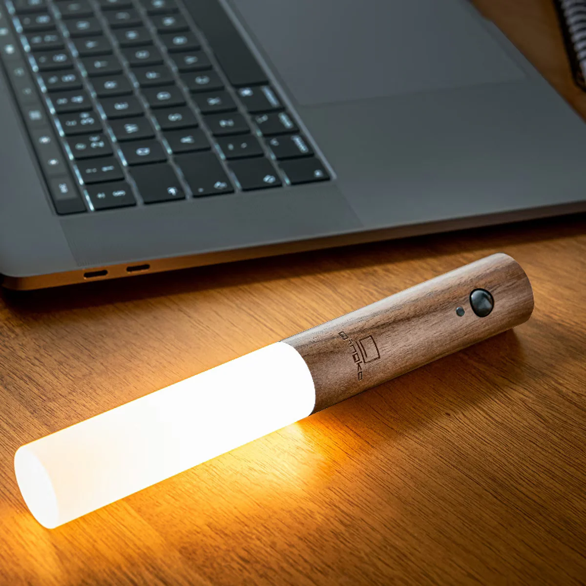Modern Torch Motion Light - Image 6