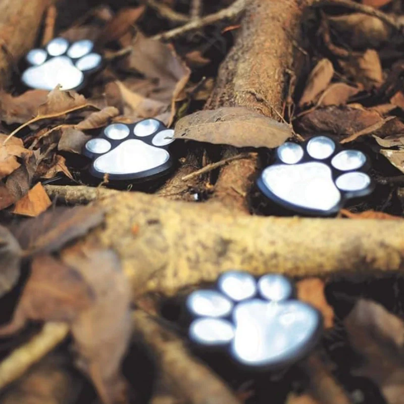 PawGlow™ - Image 2