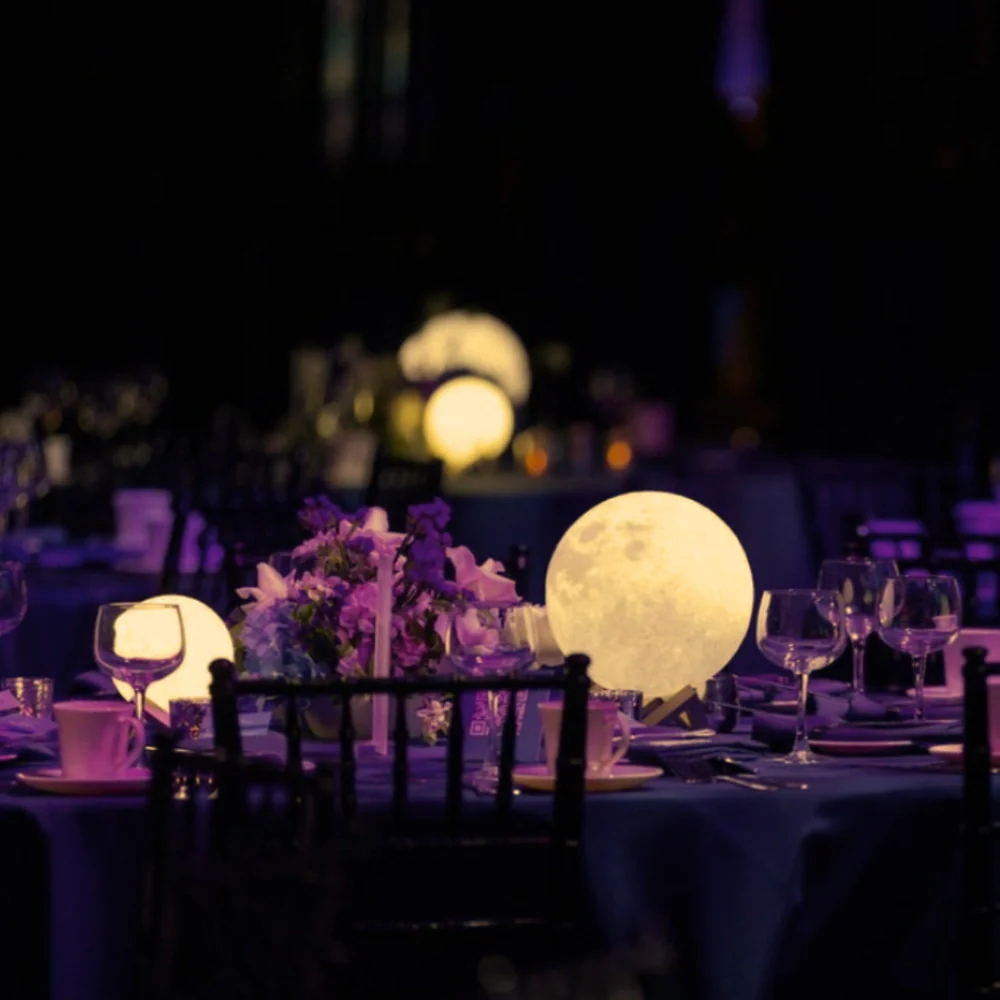 Selene™ Moon Garden Light - Image 4