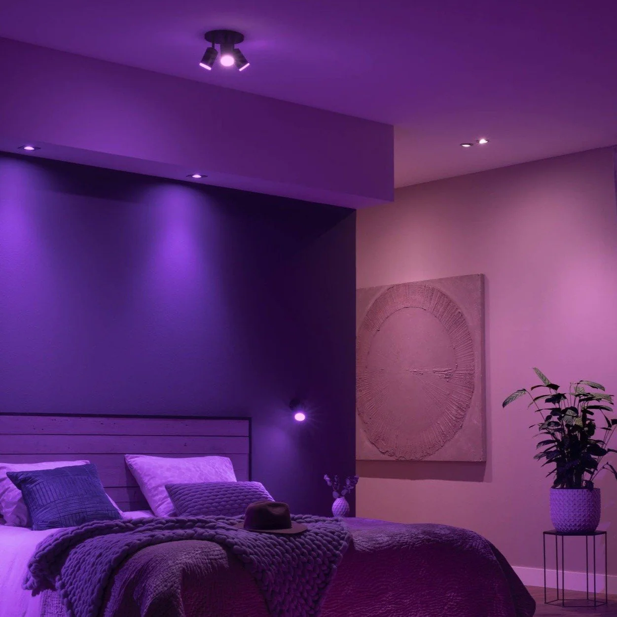 WiFi-Connected Bulb - Image 4